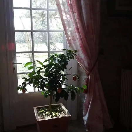 فندق مبيت وإفطار La Roulliere